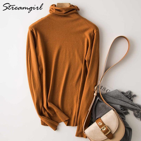 Winter Turtleneck Sweater Women Wool Warm Jumpers Ladies Pullover  Autumn Winter Sweaters Black Cashmere Sweater